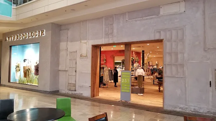 Anthropologie 1
