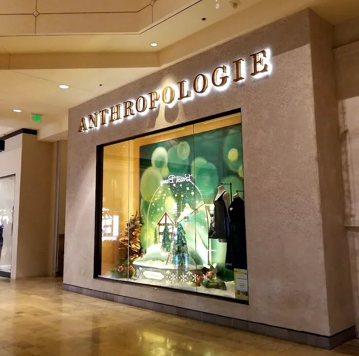Anthropologie 5