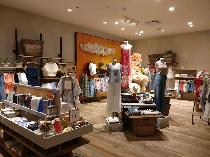 Anthropologie 3