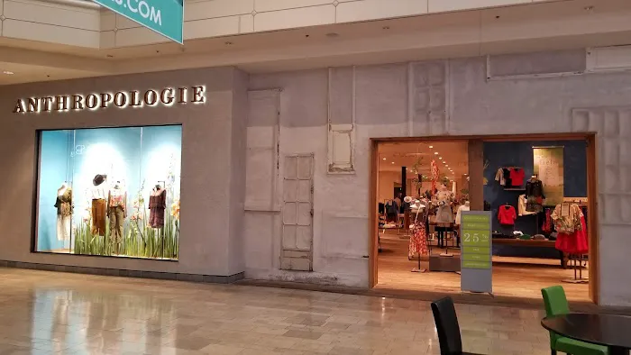Anthropologie 7