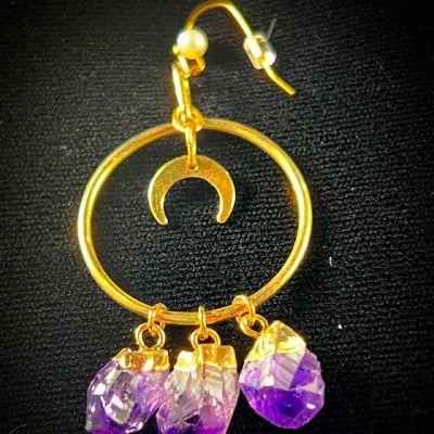 Wilmau2019s Shop of Wonders