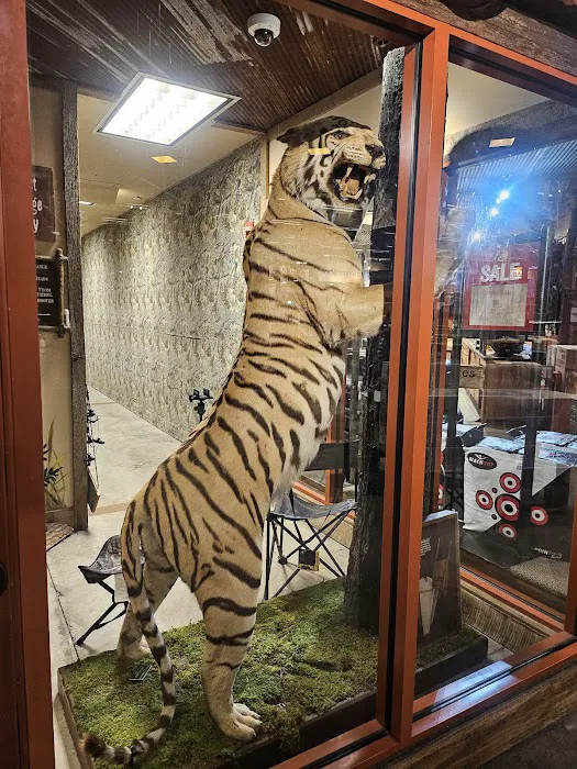 Bass Pro Shops 8