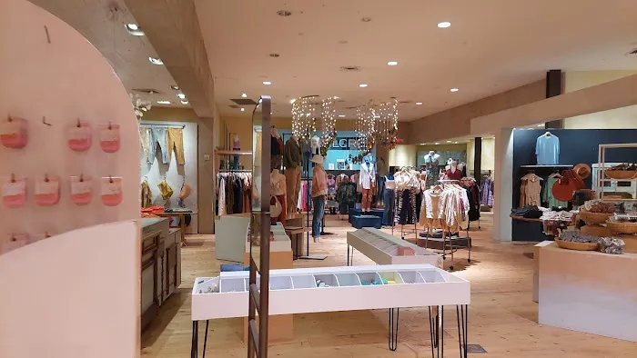 Anthropologie 1