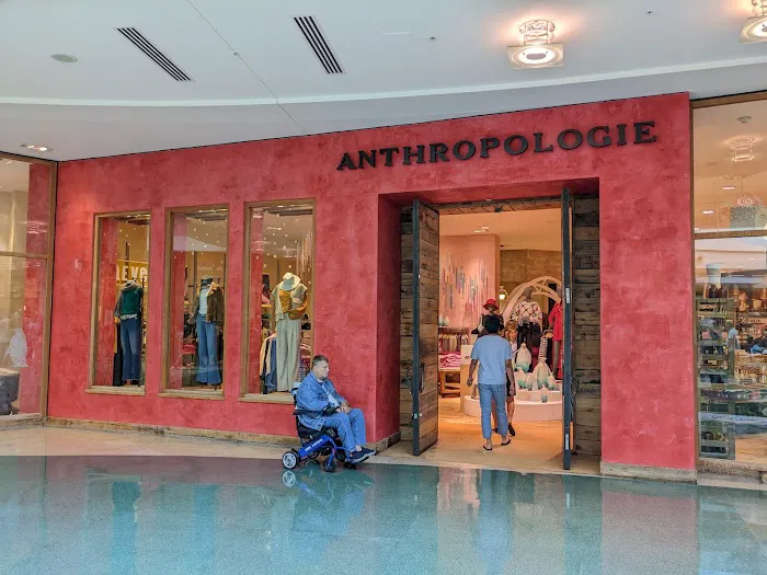 Anthropologie 0