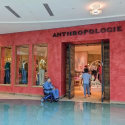Anthropologie ico