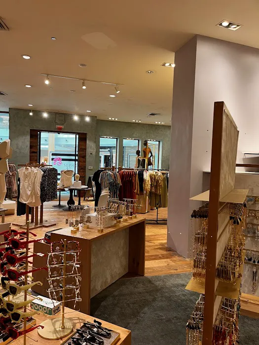 Anthropologie 3
