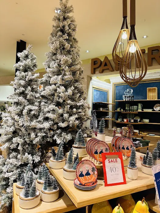 Anthropologie 4