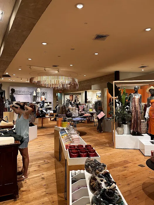 Anthropologie 9