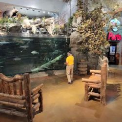 Bass Pro Shops ico