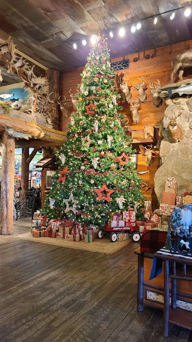 Bass Pro Shops 3