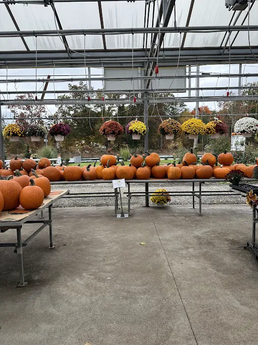 Sunny Valley Farm & Market 0