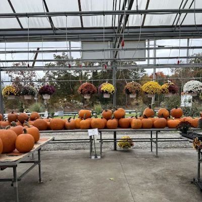 Sunny Valley Farm & Market