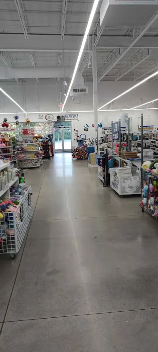 Five Below 5