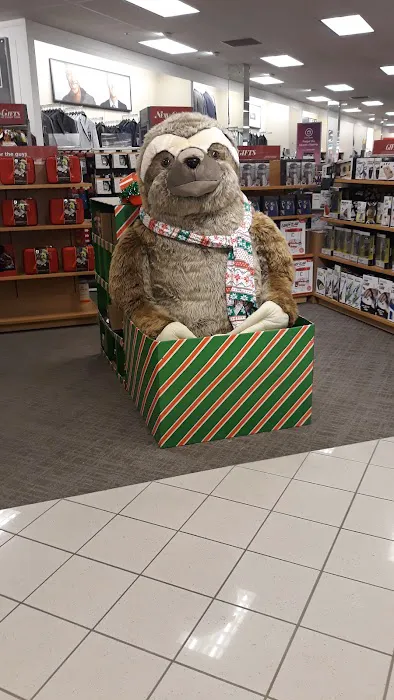 Kohl's 6
