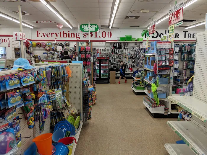 Dollar Tree 1