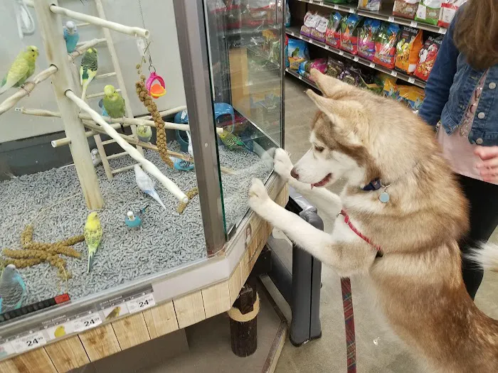 Petco 1