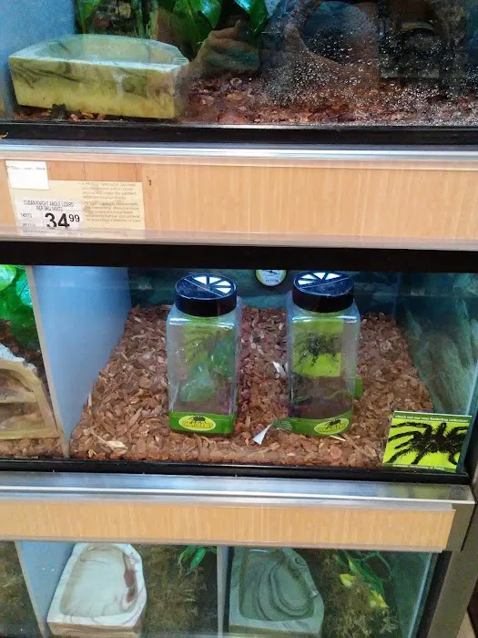 Petco 6