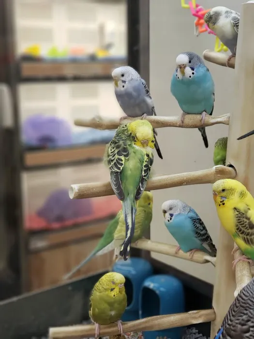 Petco 5
