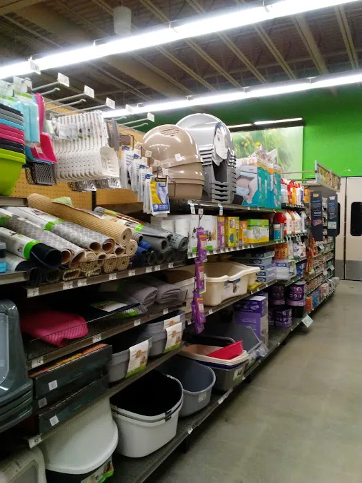 Petco 4