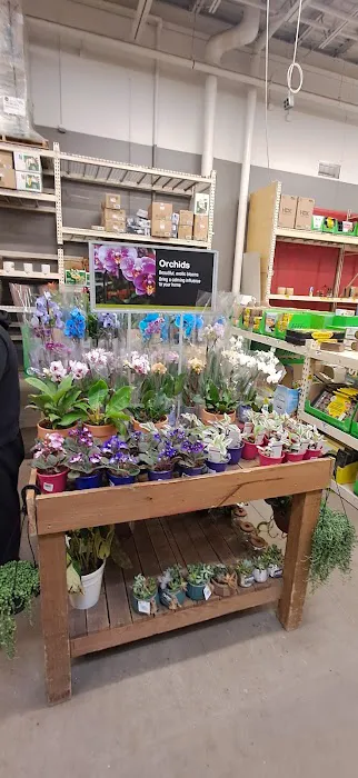 The Home Depot 5
