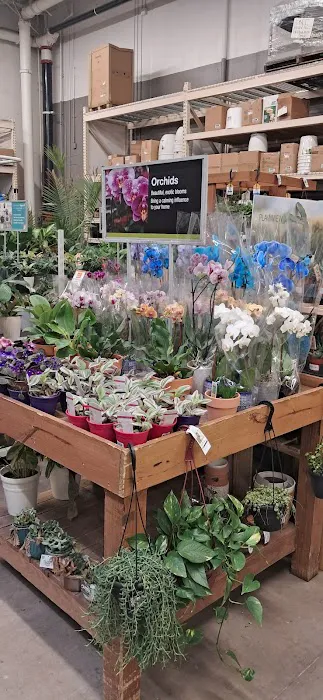 The Home Depot 8