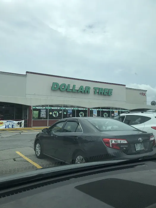 Dollar Tree 6