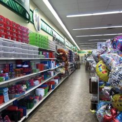 Dollar Tree ico