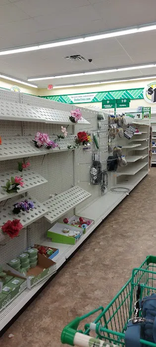 Dollar Tree 4