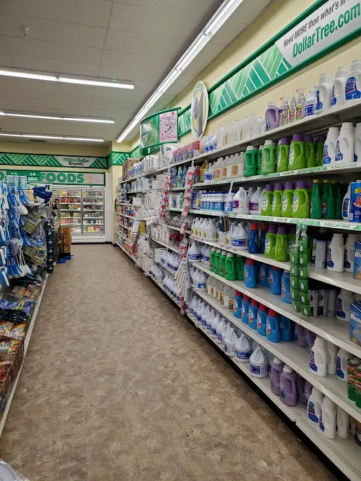 Dollar Tree 6