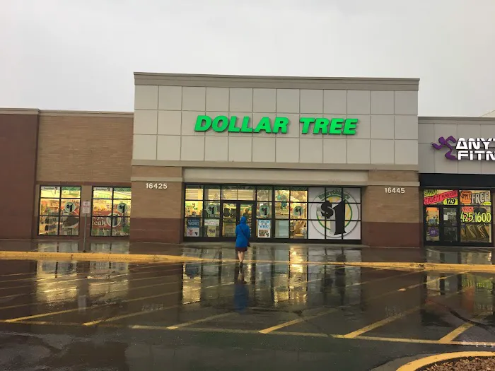 Dollar Tree 7