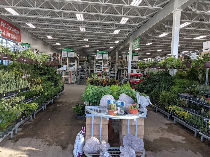 Menards 5