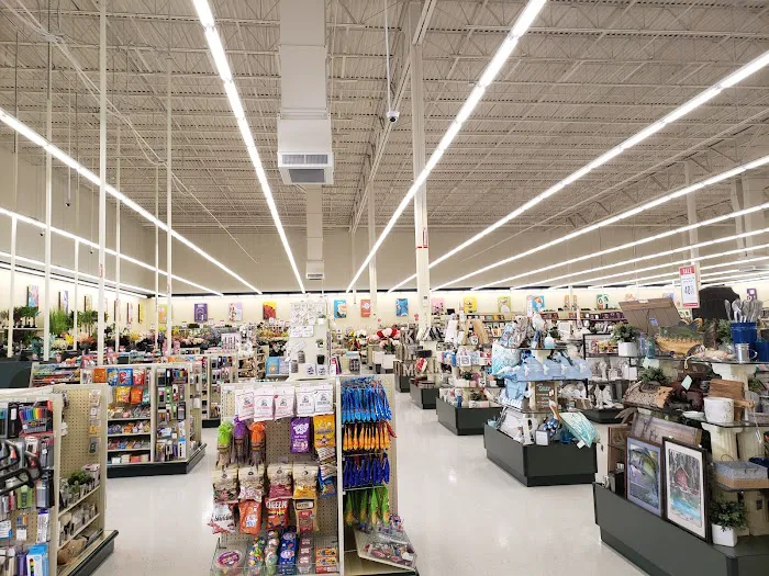 Hobby Lobby 7