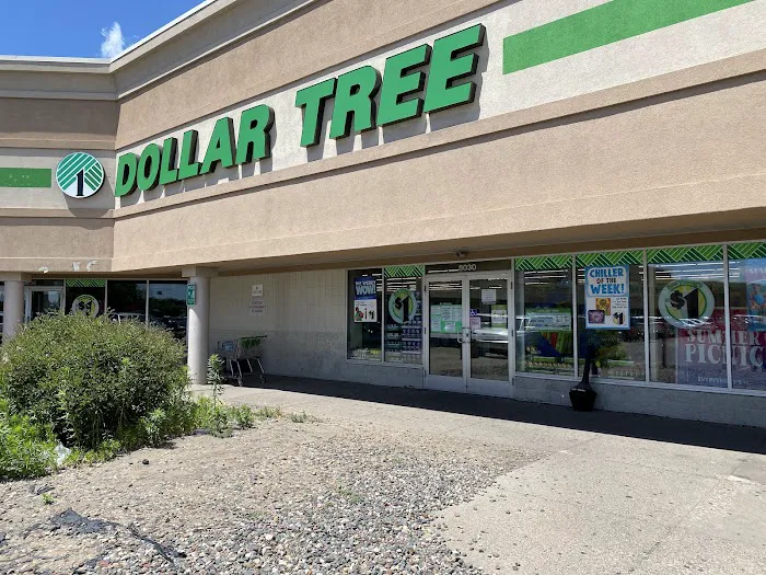 Dollar Tree 0