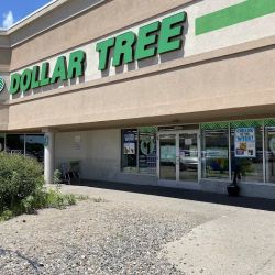 Dollar Tree ico