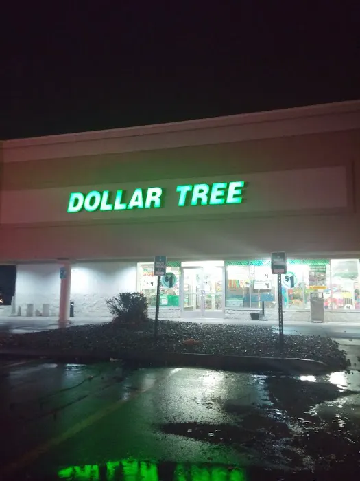 Dollar Tree 5