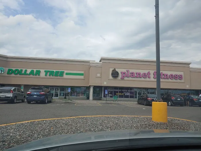 Dollar Tree 7