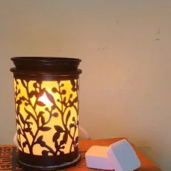 Mad Soyentist Candle Company ico