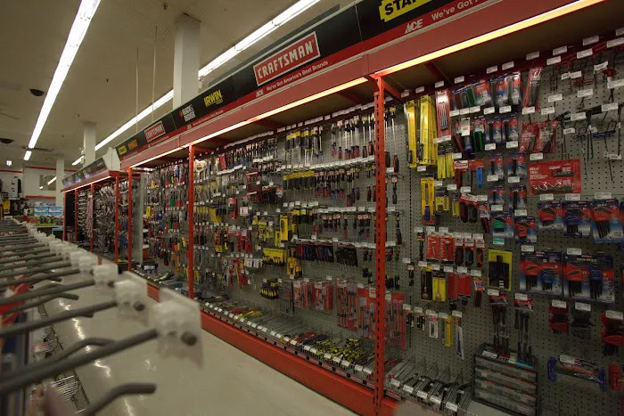 Ace Hardware 2