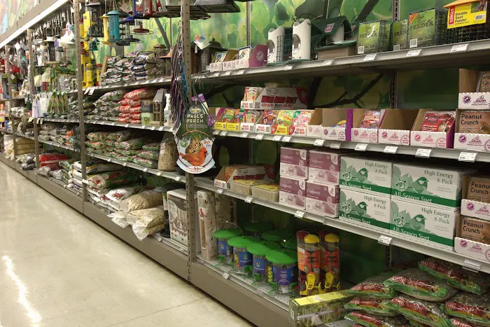 Ace Hardware 6