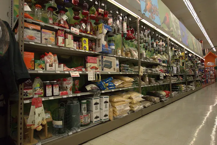 Ace Hardware 4