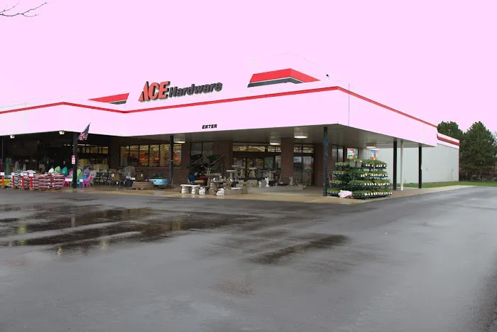 Ace Hardware 9