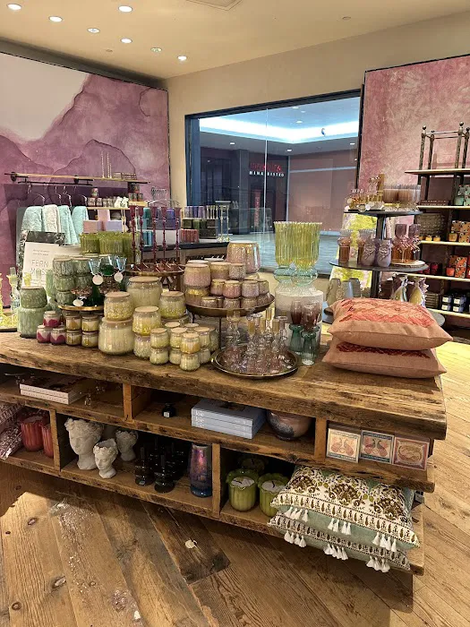 Anthropologie 2