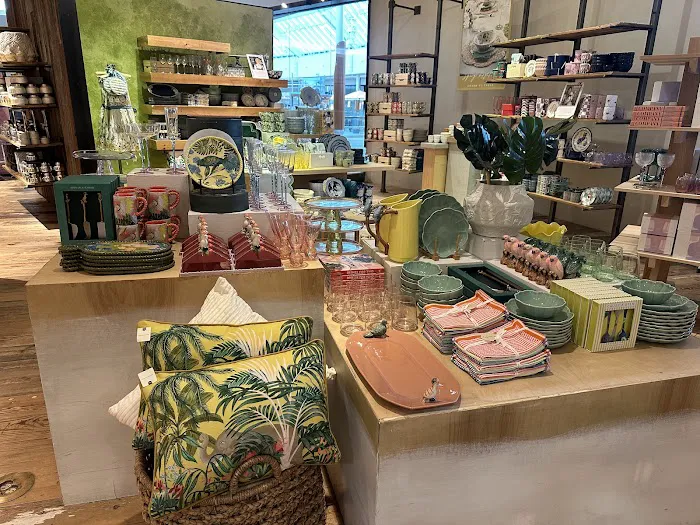 Anthropologie 3