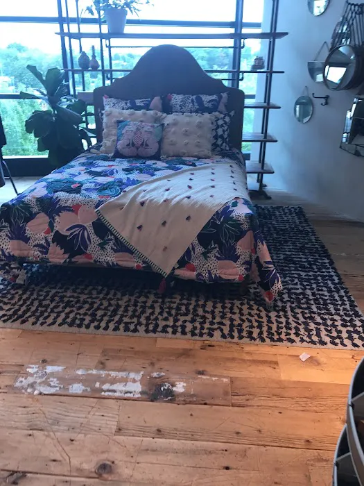 Anthropologie 8