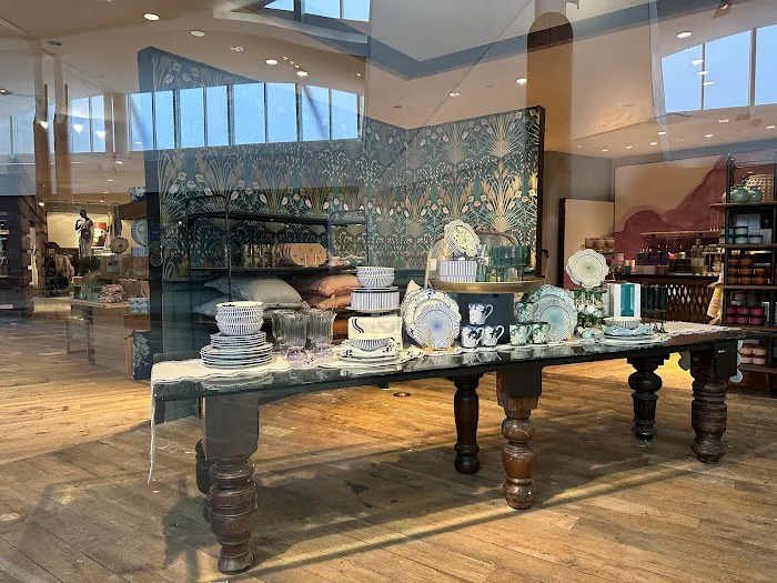 Anthropologie 4