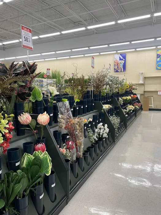 Hobby Lobby 7