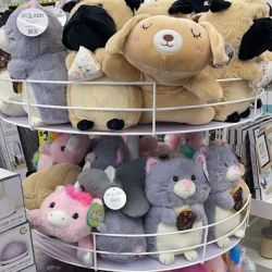 Five Below ico