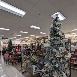 Kohl's ico