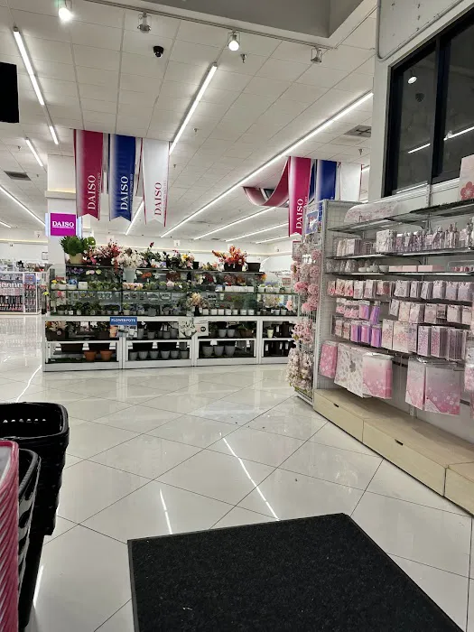Daiso - Japanese Household Goods 5