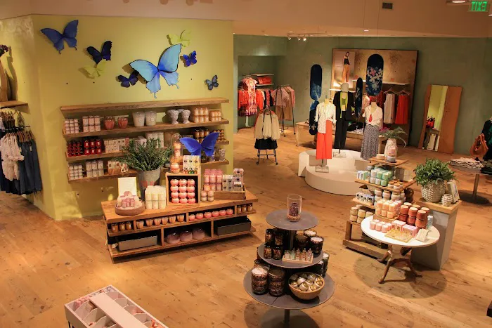 Anthropologie 2